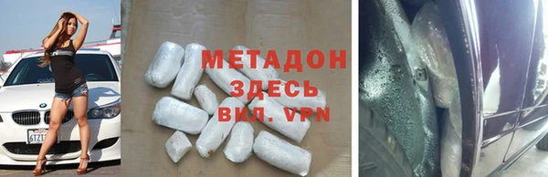 прущие грибы Приозерск